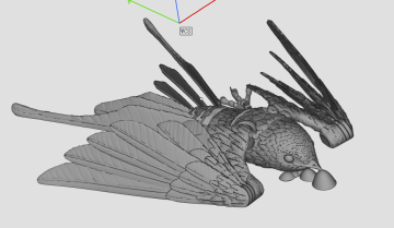 燕子可活动3D模型下载